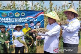 Mendes PDT apresiasi LDII-Pemkab Blora kembangkan sorgum nasional