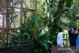 Memprihatinkan, Kebun Binatang Jahri Saleh Banjarmasin perlu perbaikan