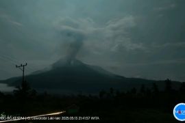 Gunung Lewotobi Laki-Laki erupsi satu kali pada Selasa malam