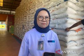 Bulog Sultra sewa 8 gudang tampung serapan gabah dan beras petani