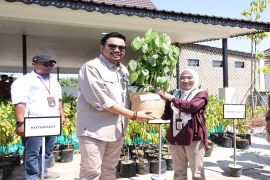 Tanah Bumbu terima 500 bibit tanaman dari Kemenhut RI