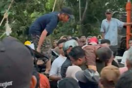 Pohon tumbang timpa minibus di Jambi pengemudi meninggal dunia