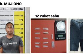 Satresnarkoba Tapin tangkap buruh simpan 12 paket sabu