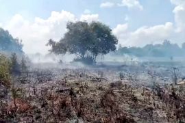 BPBD Kobar siaga hadapi karhutla