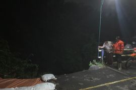 Akses jalan antardesa di Tulungagung ditutup karena longsor