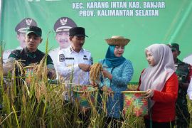 Desa Awang Bangka Barat jadi contoh ketahanan pangan di Banjar