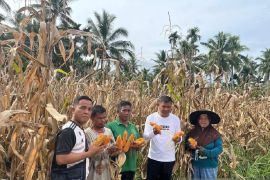 Dukung ketahanan pangan, Khairuddin Simanjuntak luncurkan program aspiratif ke masyarakat