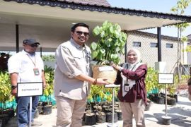 Tanah Bumbu receives 500 productive plants from Forestry Ministry