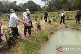 Desa Martajaya OKU jadi kampung budi daya ikan gabus