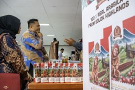 Digitalisasi untuk UMKM menembus pasar global Page 1 Small