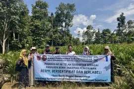 Pemprov Kalsel terapkan sertifikasi daring bagi penangkar benih sawit