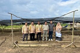 Kalsel sediakan layanan rekomendasi izin usaha produksi benih sawit