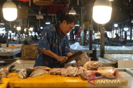 Kenaikan Harga ikan laut di Pontianak