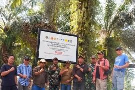 Satgas Segel 13.000 Ha Areal di Kampar