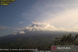 Gunung Semeru erupsi, masyarakat radius tiga kilometer dilarang beraktivitas