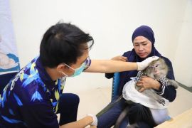 DKP Kota Tangerang gelar vaksinasi rabies kucing gratis