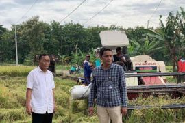 Bulog Surakarta serap 29.654 ton gabah