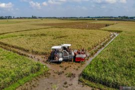 Capaian serapan gabah beras Bulog Jatim