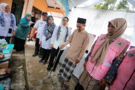 Ketua Posyandu Banten dorong pemberdayaan lansia lewat New Posyandu