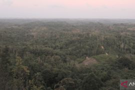 Orang Balik: Identitas yang tersembunyi di Sepaku, IKN