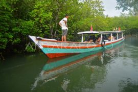 Wisata bahari kawasan Mandeh Page 4 Small