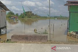 Pemprov Kaltim kejar percepatan tanam padi  usai banjir di Samarinda