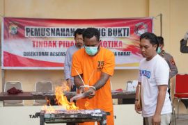 Polda Papua Barat musnahkan ganja hasil pengungkapan dua kasus