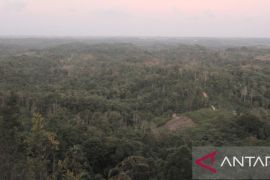 Orang Balik:  Identitas yang tersembunyi di Sepaku, IKN