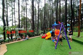 Ruang bermain anak di tengah rimbun pinus Trawas Mojokerto