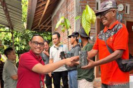 OJK Bali dan Pemkab Jembrana serahkan bantuan bibit kakao ke petani