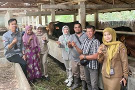 Disbunnak Kalsel pastikan aman ketersediaan hewan kurban