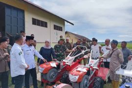Sawah produktif di Aceh Timur capai 19 ribu hektare