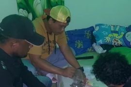 Polres Mimika gagalkan peredaran narkotika jenis ganja