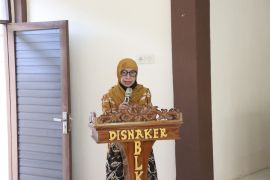 Tapin dorong Desa kembangkan produk UMKM unggulan lewat OVOP