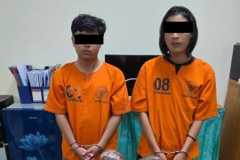 BNNP Bali gagalkan perdagangan 1,9 kg ganja di Pasar Sangsit Buleleng