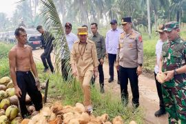 Pacu pertumbuhan ekonomi, Pemprov Kalteng optimalkan pengembangan komoditas kelapa