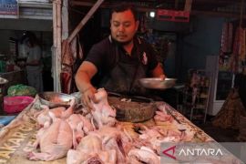 Bapanas: Harga daging ayam Rp35.346/kg, bawang merah Rp38.580/kg