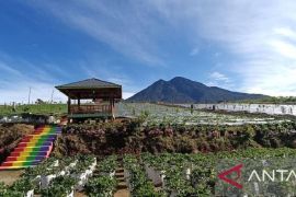 Farenza Garden Merangin masuk nominasi Anugerah Pesona Indonesia Award 2025
