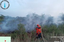 Api karhutla di Sumsel dan Kalteng berhasil dipadamkan