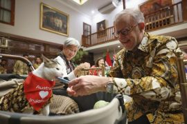 PM Australia beri hadiah kalung syal untuk kucing Presiden Prabowo "Bobby Kartanegara"