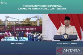 Presiden resmikan produksi perdana dari dua lapangan migas di Natuna