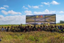 Panen Perdana Lumbung Pangan Wanam hasilkan padi 2,8 ton per hektare