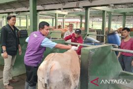 Alasan Pemkab Cianjur larang pedagang jajakan hewan kurban di pinggir jalan