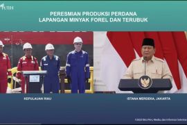 Presiden Prabowo sebut proyek Migas Natuna bukti anak bangsa kuasai teknologi