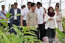 Wapres Gibran apresiasi inovasi  riset dan hilirisasi produk herbal