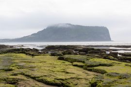 Album Asia: Pemandangan indah Puncak Seongsan Ilchulbong di Jeju