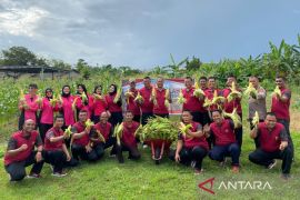 Polres Bangka Barat panen jagung bantu ketahanan pangan