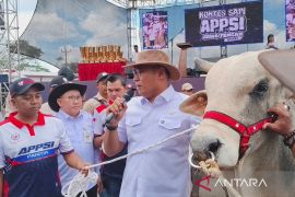 Ratusan ekor sapi ikuti kontes di Boyolali, penanda Jateng lumbung ternak