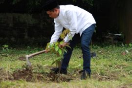 PLN dukung keberlanjutan lingkungan menjaga bumi lewat aksi tanam pohon