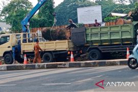Pohon tumbang sempat halangi Jalan Dago, kini sudah normal kembali